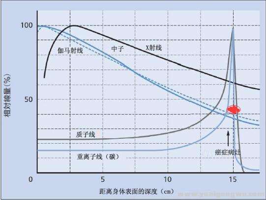 布拉格峰与其它粒子束对比