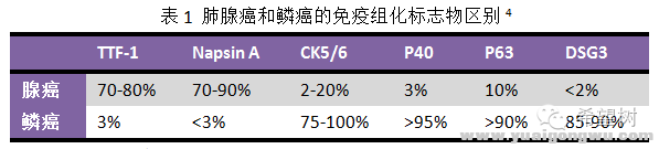 晚期肺鳞癌的治疗现状1.png