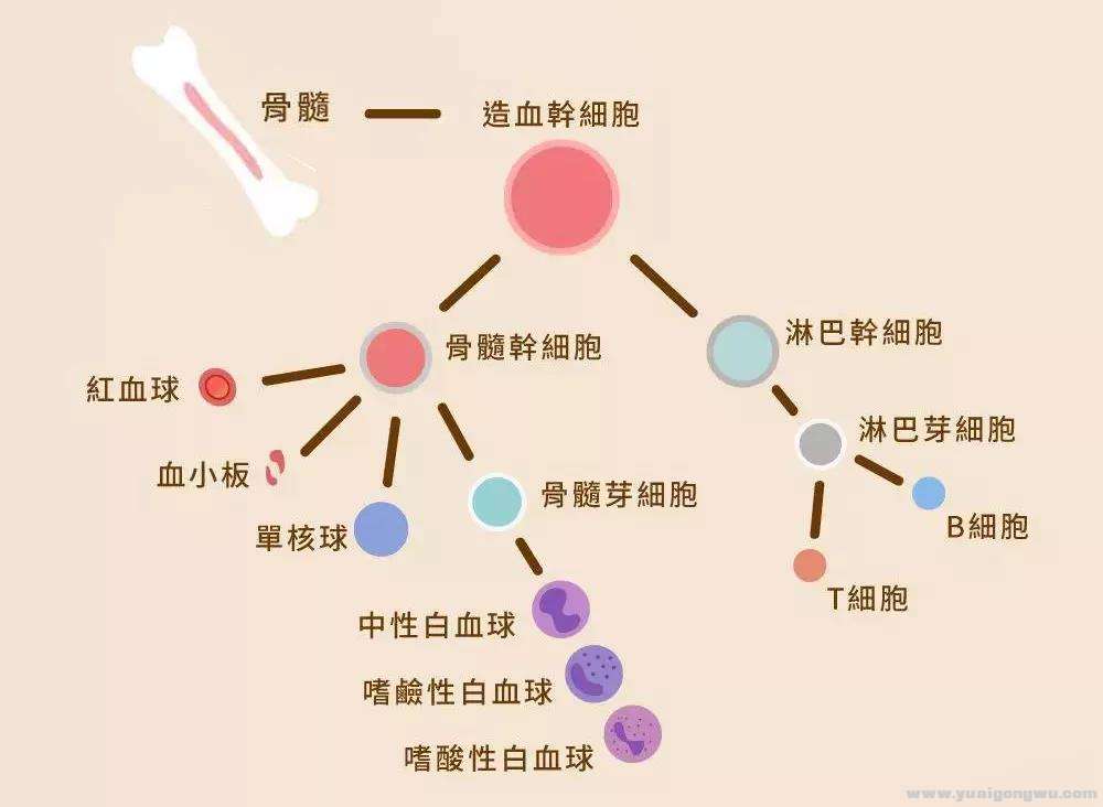 微信图片_20200703092803.jpg