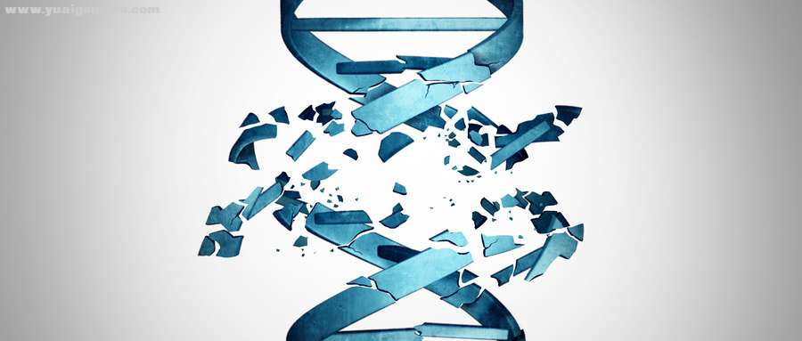 摄图网_300851156_wx_受损的DNA基因突变生物技术个双螺旋链,损害个医学符号的基因染色.jpg